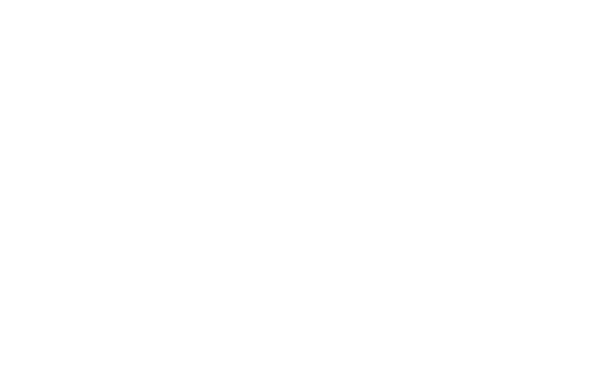 SÜDSTAATEN TOUR Unser Abenteuer ´Südstaaten der USA´ beginnt und endet in der für Jazz und die kreolische Küche bekannten Stadt New Orleans am Golf von Mexico. Beginnend am Golf von Mexico mit traumhaften Stränden begeben wir uns Richtung Norden durch Wälder und Baumwollfelder in Richtung Great Smokey Mountains Nationalpark. Neben der wunderschönen Natur wird die Tour auch von ganz viel Musik begleitet – es geht auf die Spuren von Elvis! Wir besuchen seine Geburtsstadt Tupelo und statten seinem Anwesen Graceland einen Besuch ab. Auf unserem Weg führt es uns nach Nashville, Memphis und Natchez. Diese Städte sind bekannt für ihren eigenen Musik- und Küchenstil: Rock´n´Roll und Soul Food in Memphis, Country Music und Southern Comfort Food in Nashville, Jazz und die kreolische Küche in New Orleans. 